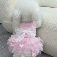 Cute Girl Dog Clothes Pet Dress Summer Dog Clothing Cat Small Dog Costumes Chihuahua Yorkshire Pomeranian Schnauzer Dresses Dresses