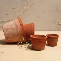 [COD] T rough pottery black flower red kiln change office moss mud creative outdoor