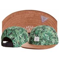 หมวกแก๊ป CAYLER &amp; SONS - Green MJ Leaf - Hip Hop Snapback Cap