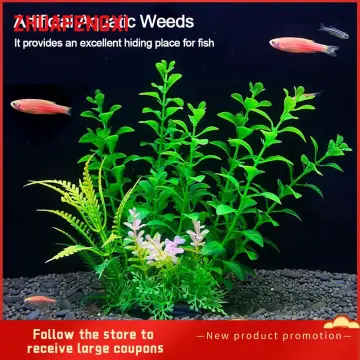 Moss Ball Decorative Moss Balls for Fish Tank Water Grass Moss