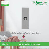 Schneider Electric M3T1TV75M_GY - เต้ารับโทรทัศน์ 75 โอห์ม 1 ช่อง สีเทา TV socket 75 ohm, Gray รุ่น AvatarOn A สั่งซื้อได้ที่ PlugOn