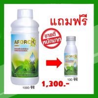 ลดราคาพิเศษ ซื้อสารจับใบเอฟอช 1000 ซีซี แถมฟรี สารจับใบเอฟอช 100 ซีซี เร่งแทรกซึมใบคุณภาพสูงช่วยเพิ่มประสิทธิภาพการซึม