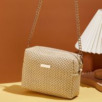 【CC】 Luxury Designer Shoulder Crossbody Fashion Woven Bohemia Beach Small Purse and Handbag