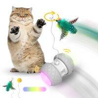 【WNING small pet】ของเล่นสัตว์เลี้ยงกลิ้งไฟฟ้าอัจฉริยะแบบโต้ตอบ,ของเล่นแมวไฟ LED อัตโนมัติอัจฉริยะทีเซอร์ชาร์จ USB สำหรับแมวเล่นและรอยขีดข่วน