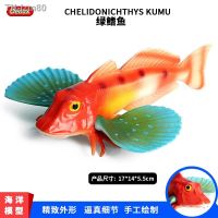 ? ของขวัญ Simulation model of Marine sea creatures freshwater green fin fish gu wing is put ð «  