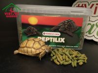 อาหารเต่า Reptilix อาหารเม็ดสำหรับเต่าบก อาหารเต่าบกไฟเบอร์สูง (1กิโล)