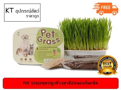 Green Pet - Pet Grass ชุดปลูกต้นข้าวสาลีอ่อนออร์แกนิค สำหรับสัตว์เลี้ยง (ส่งฟรี)
