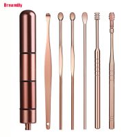 6 Pcs/Set Ear Wax Pickers Stainless Steel Earpick Wax Remover Piercing Kit Earwax Curette Spoon Care Ear Clean Tool Ear Cleaner