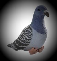 【YF】 20CM Pigeons Simulation Animal Plush Toy Stuffed Dolls Kids Gift For Children