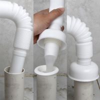 x sewer blocked floor drain cap bedbug artifact toilet wall mouthparts silicone seal floor drain core flap