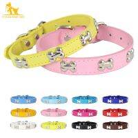 [Big Spade] Bone RivetsDog Collar ColourfulNeck สายคล้องคอสำหรับสุนัขขนาดกลางขนาดเล็ก Cat Pug Chihuahua อุปกรณ์เสริม S-XL