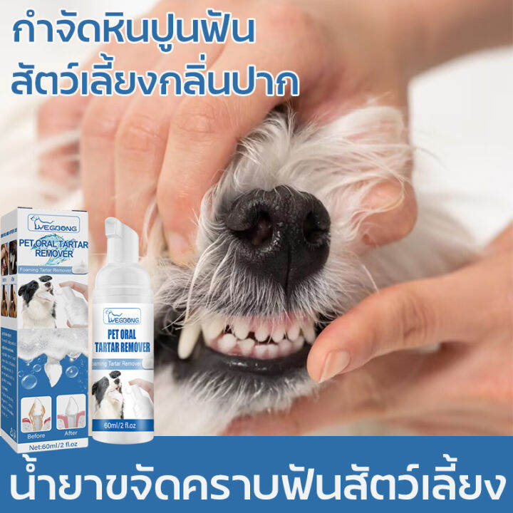 ดับกลิ่นปากแมว ดับกลิ่นปากหมา น้ำยาดับกลิ่นปากแมว แมวปากเหม็น สเปรย์ดับ กลิ่นปากสุนัข น้ำยาดับกลิ่นปากสุนัข สเปรย์ดับกลิ่นปากแมว กำจัดหินปูนฟัน สัตว์เลี้ยงกลิ่นปาก | Lazada.co.th ดับกลิ่นปากแมว ดับกลิ่นปากหมา น้ำยาดับกลิ่นปากแมว แมวปากเหม็น สเปรย์ดับ กลิ่นปากสุนัข น้ำยาดับกลิ่นปากสุนัข สเปรย์ดับกลิ่นปากแมว กำจัดหินปูนฟัน สัตว์เลี้ยงกลิ่นปาก | Lazada.Co.Th