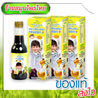 แพ็ค 3 ขวด Ferns Herb GenZ ยาซาง แก้ตานขโมย อาหารเสริมสำหรับเด็ก เจริญอาหาร บำรุงสมอง ขับพยาธิ