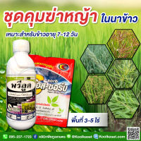 คุมหญ้า 7-12 วัน 1ลิตร กำจัดหญ้านกสีชมพู หญ้าข้าวนก หญ้าแดง ผักปอดนา เทียนนา หญ้ากก หนวดปลาดุก สารเร่งการดูดซึม คูลเกษตร KK4.1