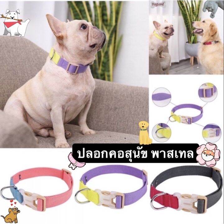 ปลอกคอ-ปลอกคอสุนัข-ปลอกคอหมา-แมว-สีพาสเทล-doglemi-พร้อมส่ง