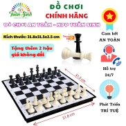 Cờ Vua Quốc Tế Có Nam Châm VJG0488- Đồ chơi an toàn Việt Nam