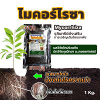 ไมคอร์ไรซาแท้ป้องกันเชื้อรา จุลินทรีย์ไมคอร์ไรซ่า [ถุงใหญ่ 1 Kg]