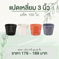 100 ใบ กระถางแคคตัส ทรงแปดเหลี่ยม 3 นิ้ว สีขาว สีดำ สีอิฐ สีเทา