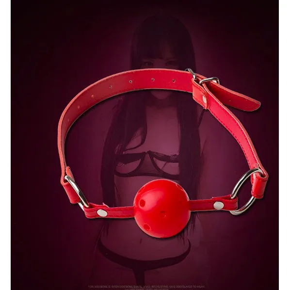 Ball Gag Harness