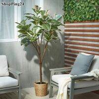 ไม้ประดิษฐ์ในกระถาง วางได้ทั้งในนอกอาคาร ต้นยาง สูง 23 ซม.  Artificial potted plant in And outdoor Rubber plant 23 cm