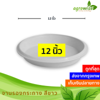 จานรองกระถาง จานรอง จานรองกระถางต้นไม้ 12 นิ้ว สีขาว สีดำ 10 ใบ