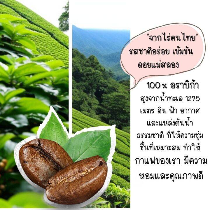 สั่งกาแฟ-ฟรี-ช้อนน้องแมว-ดอยแม่สลอง-arabica100-เกรดพรีเมี่ยม-250g-ชุด3ถุง-กาแฟดำสดบดคั่วไม่เปรี้ยว-ไม่ขม-กลิ่นหอม-เข้มข้น-ครีม่า-อาราบิก้า