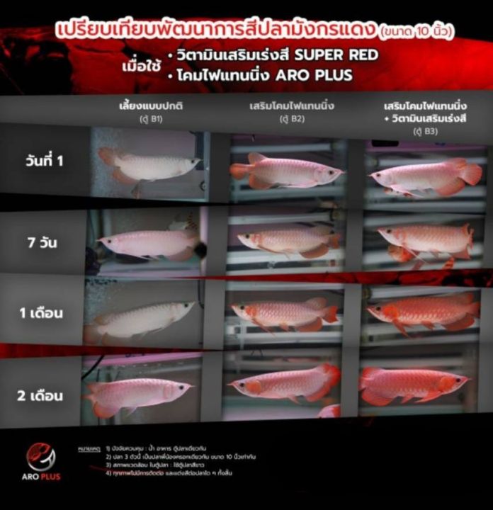 aro-plus-วิตามินปลามังกร-ปลาอโรวาน่า-แบบผง-วิตามินเร่งสีปลามังกร-vitamin-for-arowana-ขนาด-10-กรัม