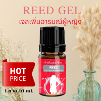 Reed เจล 1 ขวด ?ของแท้ ส่งฟรี? Reed Gel เจล สำหรับผู้หญิง ยานวด ใช้ทา เพิ่มอารมณ์ผู้หญิง (1ขวด10ml.)