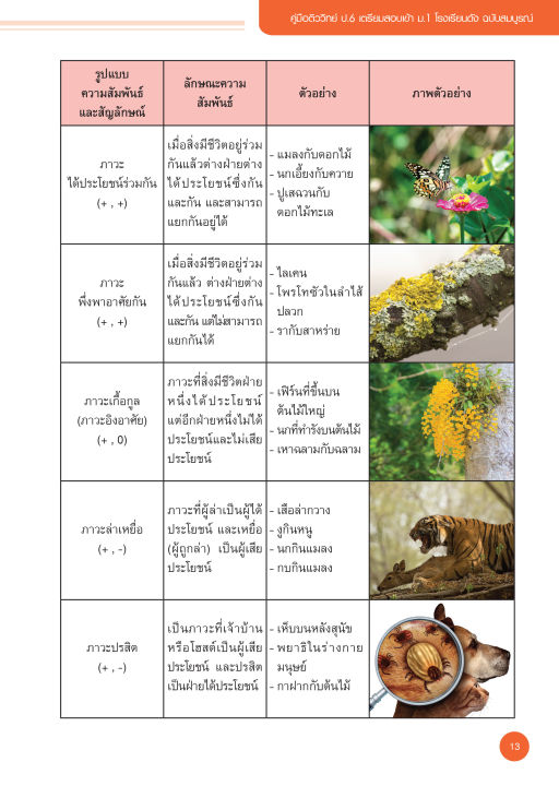 inspal-หนังสือ-คู่มือติว-วิทย์-ป-6-เตรียมสอบเข้า-ม-1-โรงเรียนดัง-ฉบับสมบูรณ์