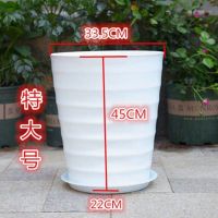 [COD] Large-caliber flowerpot thickened extra large loose-tailed sunflower green radish fortune tree ground simple thread black and white plastic