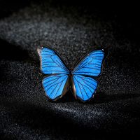 Female Fashion Simple Cute Blue Butterfly Brooches For Women Luxury Black Color Enamel Alloy Animal Brooch Safety Pins