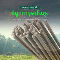 ยาจุดกันยุงใช้ได้นานถึง 3 ชั่วโมง ยาจุดกันยุงจากพืชสามารถใช้ตกปลากลางแจ้ง ท่องเที่ยว สตรีมีครรภ์และสัตว์เลี้ยงสามารถใช้ยาจุดกันยุงได้ Garden Eco-friendly