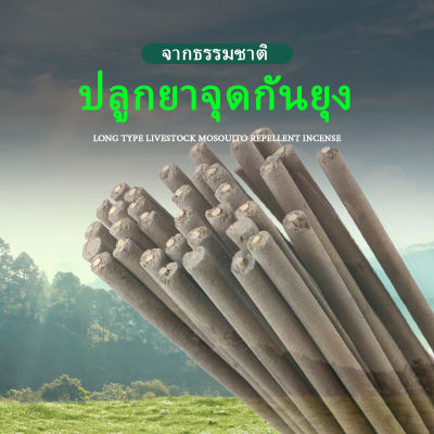 ยาจุดกันยุงใช้ได้นานถึง 3 ชั่วโมง ยาจุดกันยุงจากพืชสามารถใช้ตกปลากลางแจ้ง ท่องเที่ยว สตรีมีครรภ์และสัตว์เลี้ยงสามารถใช้ยาจุดกันยุงได้ Garden Eco-friendly