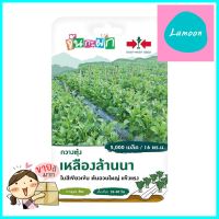 เมล็ดพันธุ์กวางตุ้ง เหลืองล้านนา ศรแดงBOK CHOY SEEDS LEUANGLANNA SORNDAENG **ราคารวม Vat แล้วค่ะ ไม่มีบวกเพิ่ม**