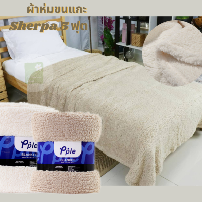 SHERPA THROW ผ้าห่มขนแกะ ขนนุ่ม ขนาด 5 ฟุต ใช้เป็นพร็อพถ่ายรูปสินค้าได้ มินิมอล ผ้าห่ม ผ้าขนแกะ ส่งไวมาก