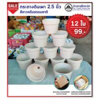 กระถางดินเผา 2.5 นิ้ว ทรงจิ๋ว สีขาวครีมธรรมชาติ