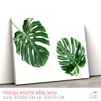 กรอบรรูปติดผนัง ภาพใบไม้ มอนสเตร่า Monstera ภาพพิมพ์ สไตล์ภาพโมเดิร์น แคนวาสแท้ กรอบรูปติดผนัง ภาพติดผนัง กรอบรูปแต่งบ้าน ตกแต่งผนังห้อง