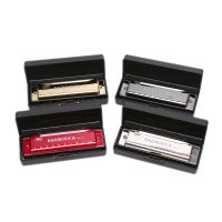 10 Hole Harmonica Mouth Organ Musical Instrument Teaching