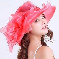 Church Hats. Brimmed Hats. Dress Hats. Derby Hats. Wide Brimmed Hats. Hats. Organza Hats. Womens Hats.