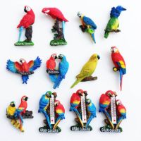 Creative Magnet Fridge Magnet Animal Bird Parrot Fridge Magnet Resin Decorative Magnet Magnetic Buckle Message Sticker