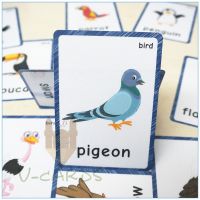13pcs Memory Game Birds Word Cards Flash Cards For Children English Teacher Teaching Aids Montessori Learning Educational Toys Flash Cards Flash Cards