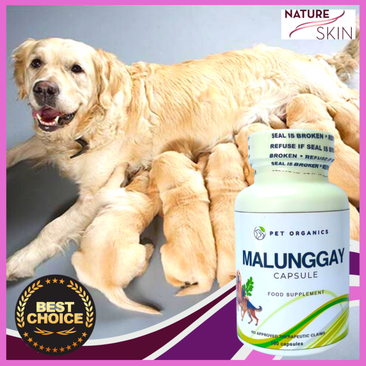 Malunggay Capsule for Pets Lactating Dam Fully Loaded with Minerals Nutrients Proteins and