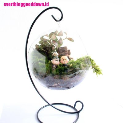 【Everthing】Chic Garden Moss Terrarium Desktop Decor Crafts Bonsai Doll House M