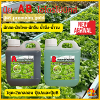 ไฮโดรโปนิกส์-ST1 ปุ๋ยไฮโดรโปรนิกส์ ขนาด1ลิตร ปุ๋ยA+B ปุ๋ย HYDROPONIC ปุ๋ยAB คุณภาพดี คุ้มราคา สินค้าพร้อมส่ง