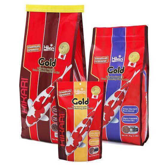 hikari-gold-koi-อาหารปลาคาร์ฟ-สูตรเร่งโต-เร่งสี-ชนิดเม็ดลอย-ขนาด-500กรัม-ชนิดเม็ดอาหารกลาง-m