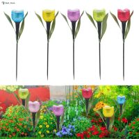 ✼ 1Pcs Garden Tulip Flower Shape LED Solar Powered Waterproof Tube Lawn Lights Standing Decor for Yard Outdoor Party