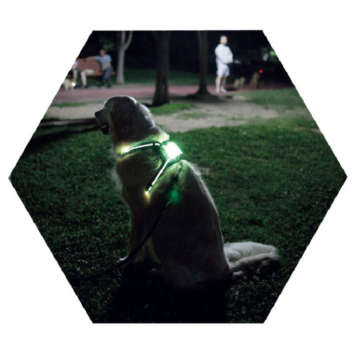 simon-pet-accessory-in-chest-lead-dog-harness-with-led-dog-harness-reflective-lights-personalized-nylon-quick-release-padded-cc