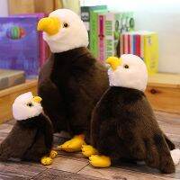 【A Great】 BaldSea EagleBirds ตุ๊กตาตุ๊กตา StuffedHome OrnamentEducational ToysCartoon ของขวัญ