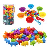 ของเล่นเด็ก Montessori เกมพัฒนาเด็ก Rainbow Matching Color Sort Fine Motor Learning Education Puzzle Sorting Toy ~