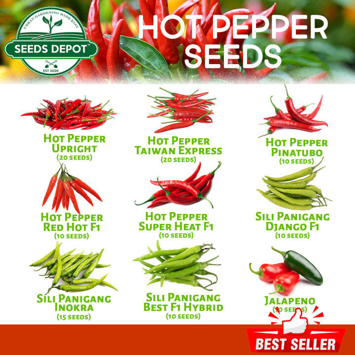 Hot Pepper Seeds - Sili Panigang Django Jalapeno Bicol Taiwan Express ...